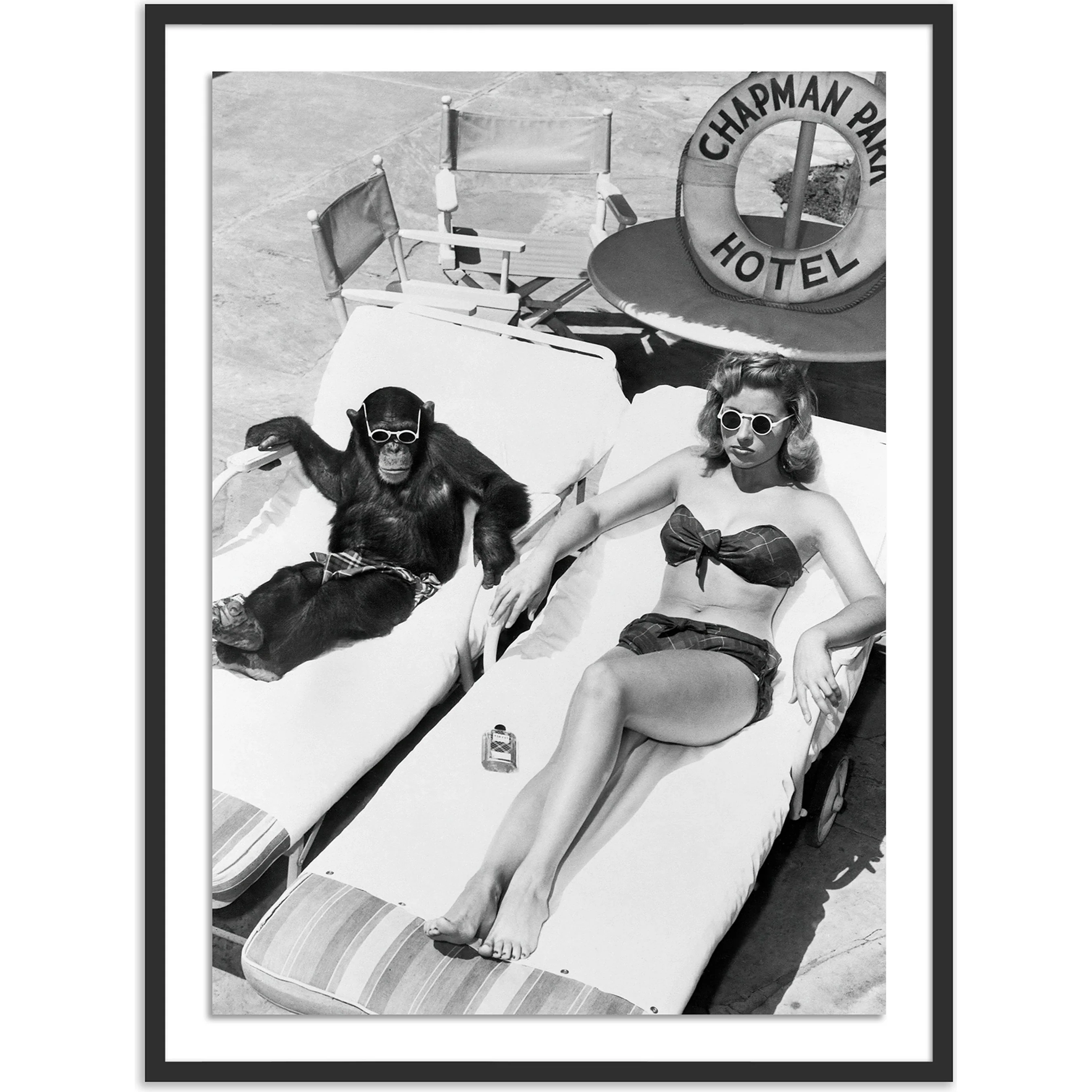 Woman Sunbathing with Chimpanzee by Getty Images - Image 2