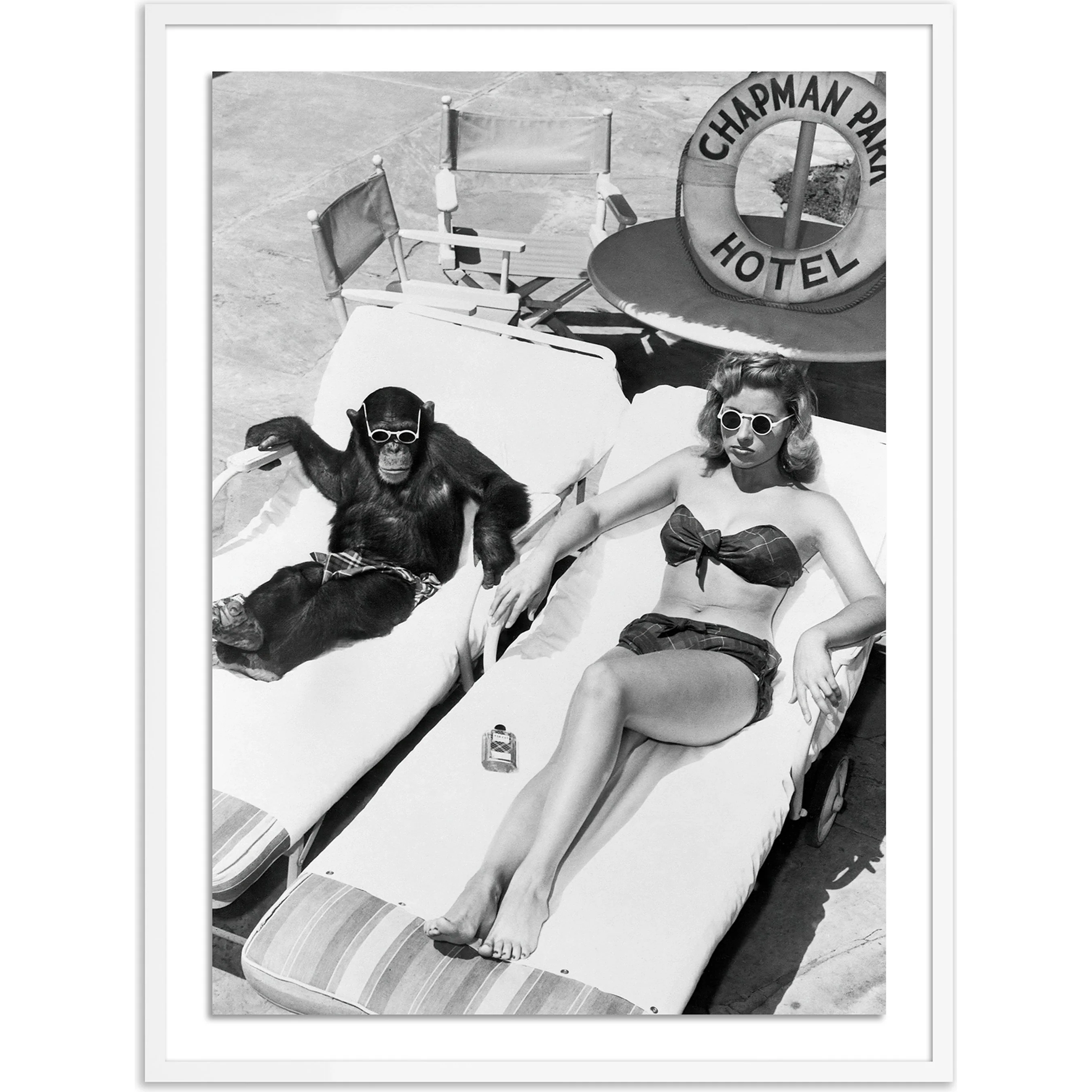 Woman Sunbathing with Chimpanzee by Getty Images - Image 4
