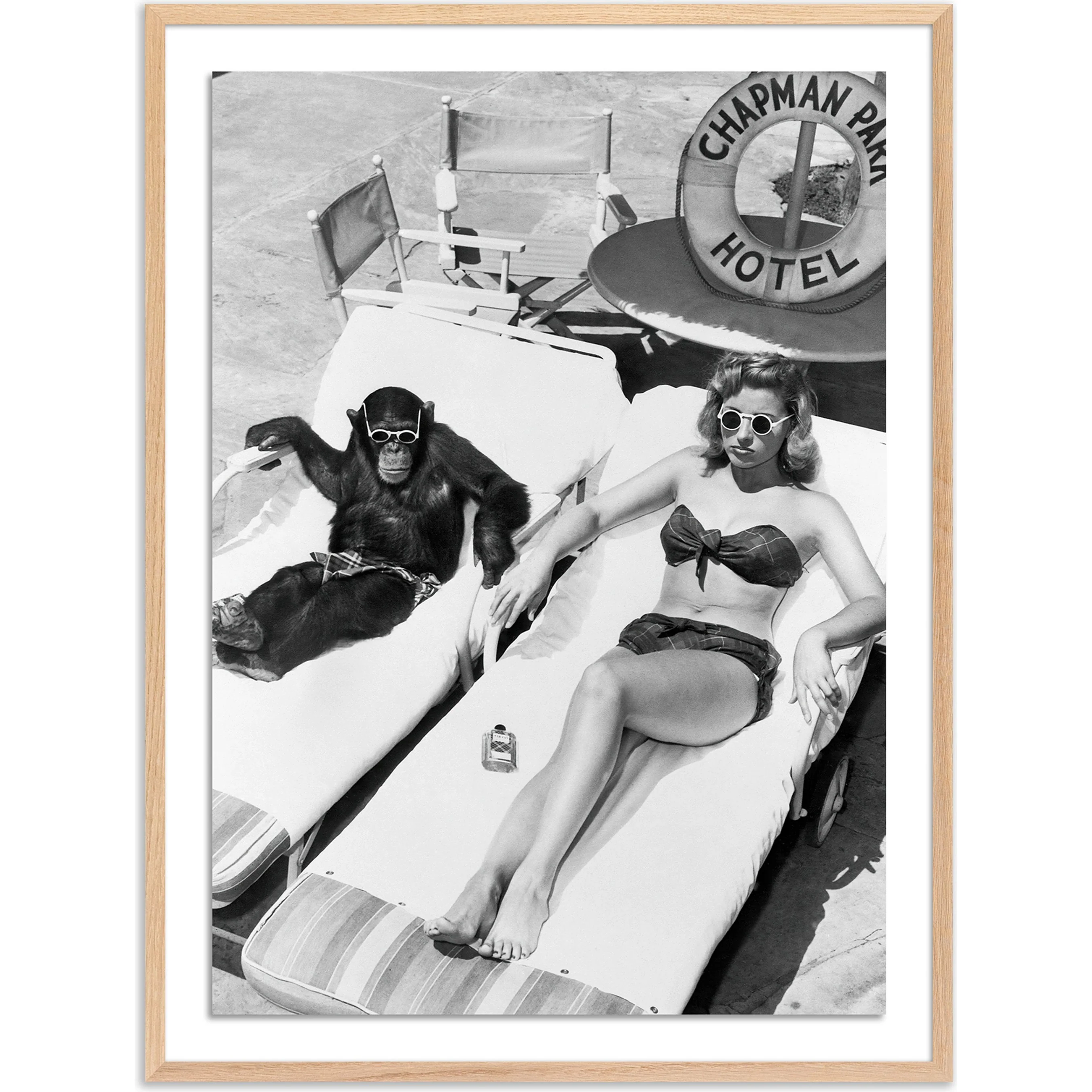 Woman Sunbathing with Chimpanzee by Getty Images - Image 8