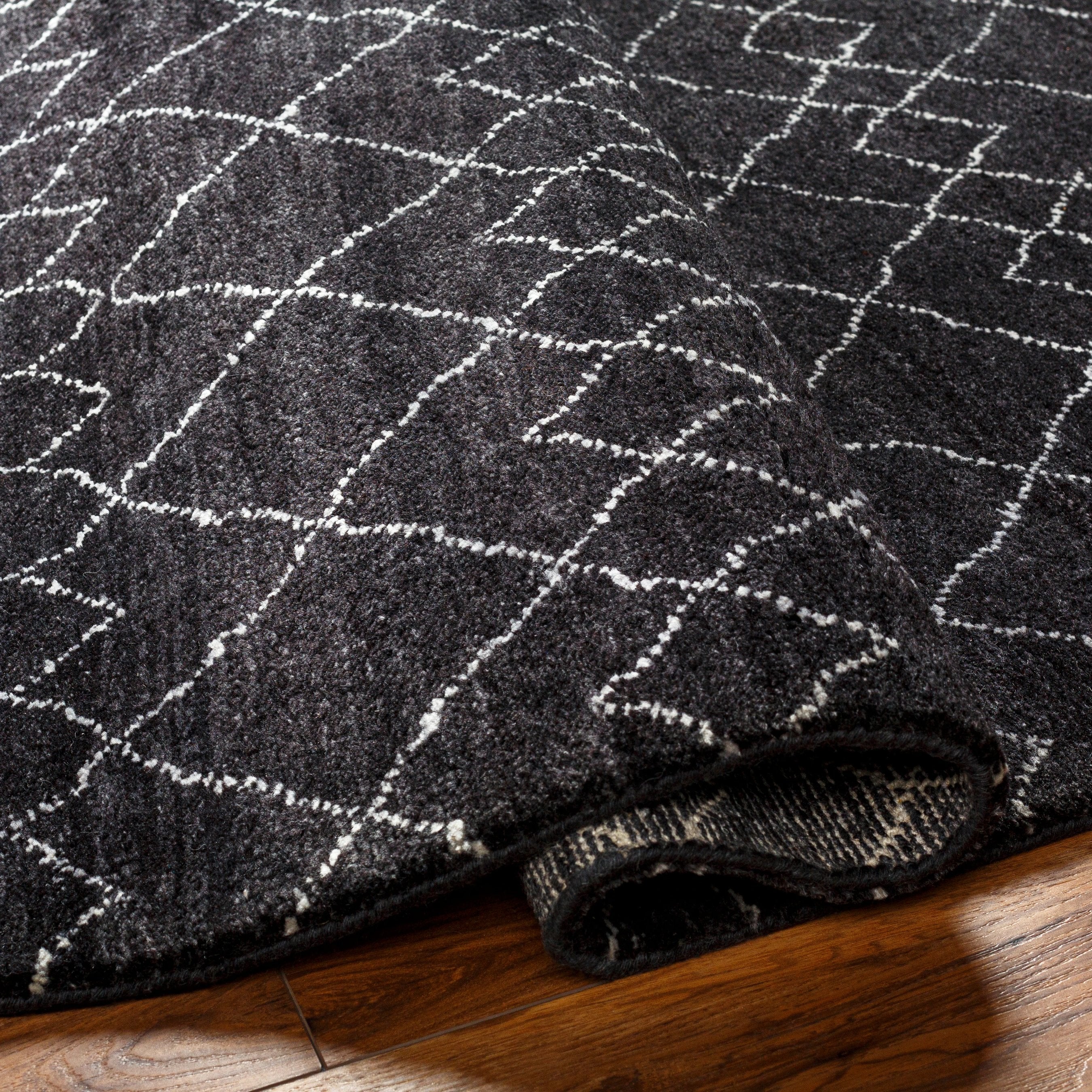 Zara ZAR-2305 Rug - Image 5